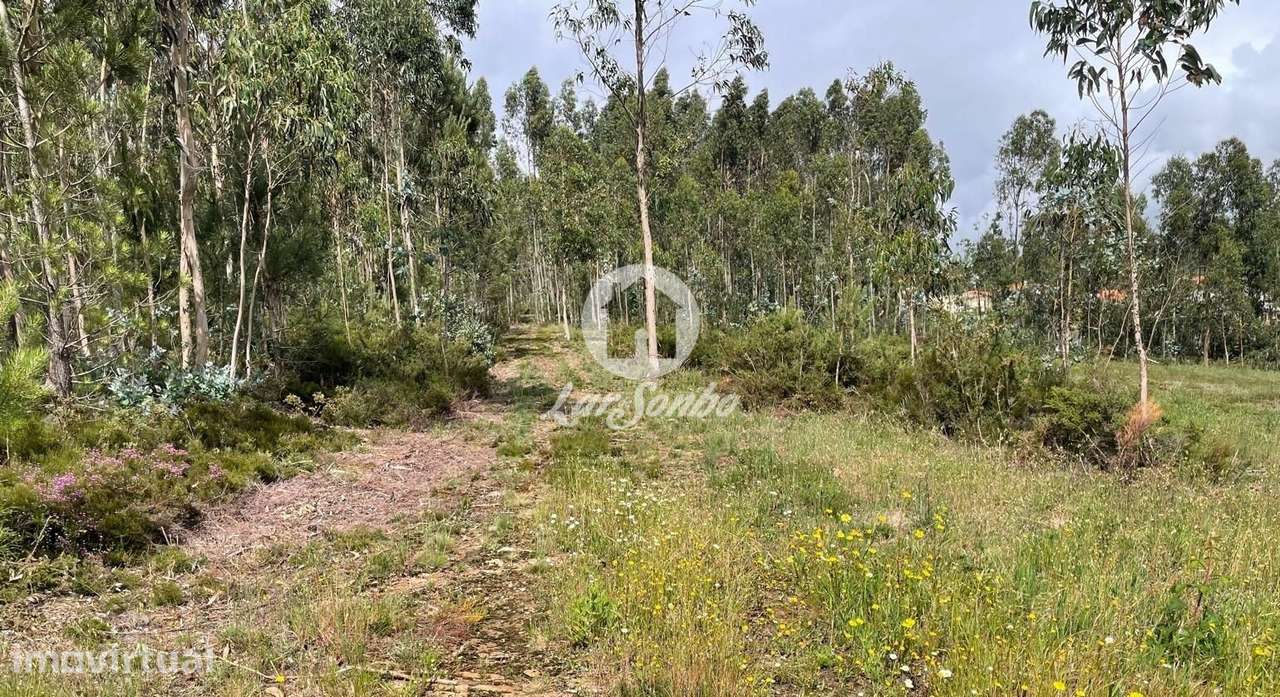 Terreno rústico de 24.476m2 com 100m frente em Balazar, Póvoa de Va... - Grande imagem: 5/6