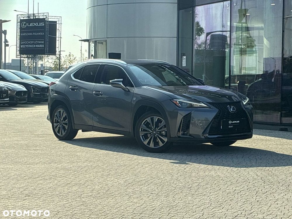 Lexus UX 300h F Sport Design AWD - 24