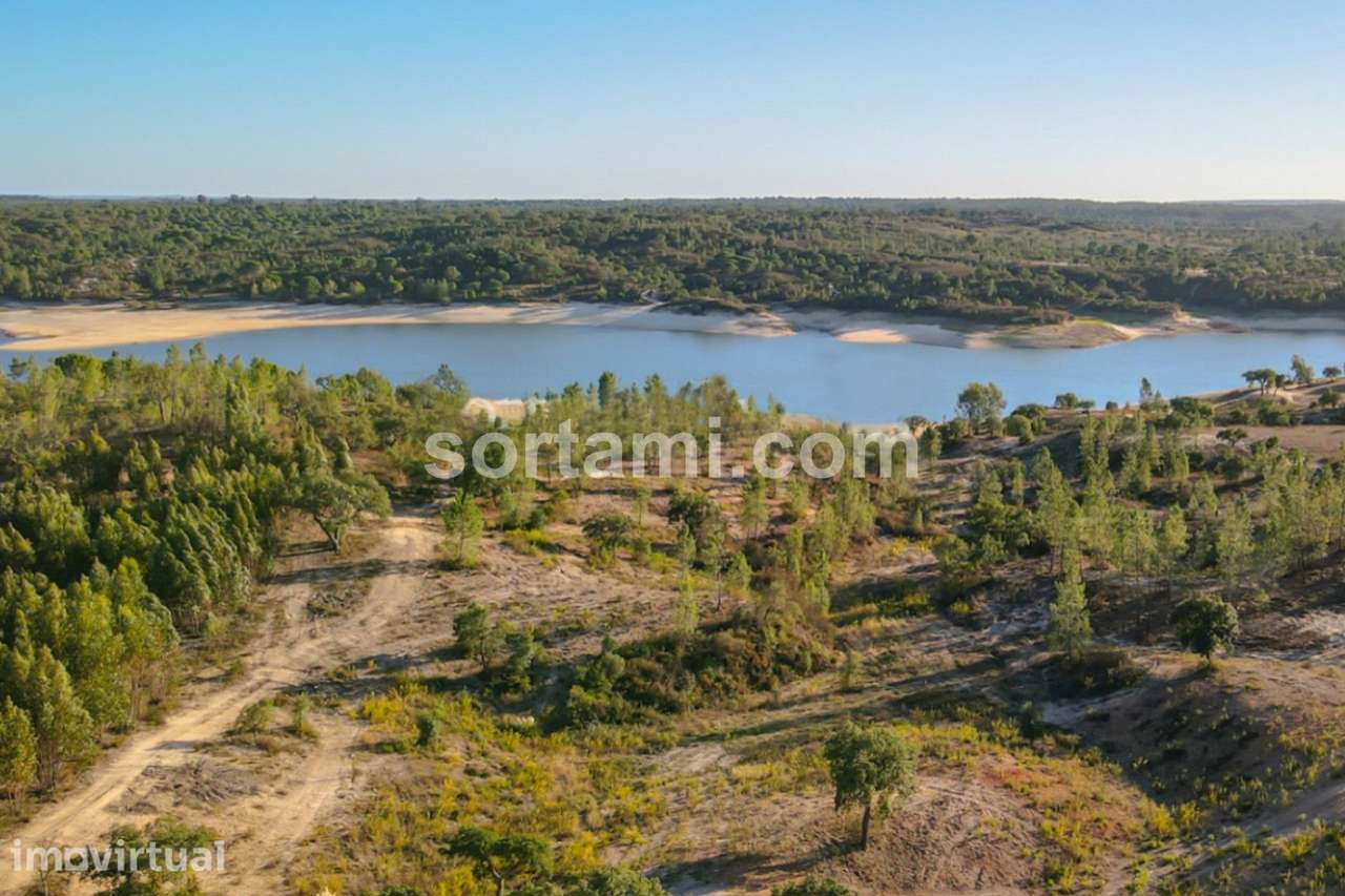 Herdade  Venda em Montargil,Ponte de Sor - Grande imagem: 4/9