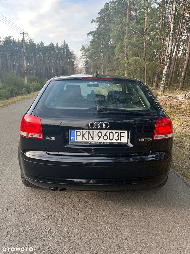 Audi A3 3-drzwiowe 1.9 TDI DPF Ambiente - 3
