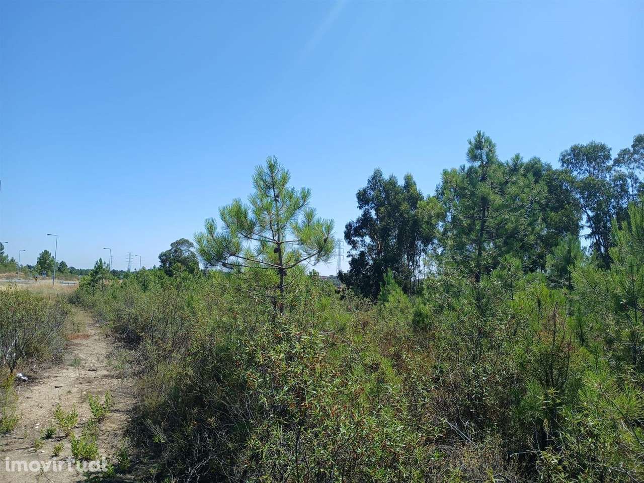 Terreno - Grande imagem: 3/10