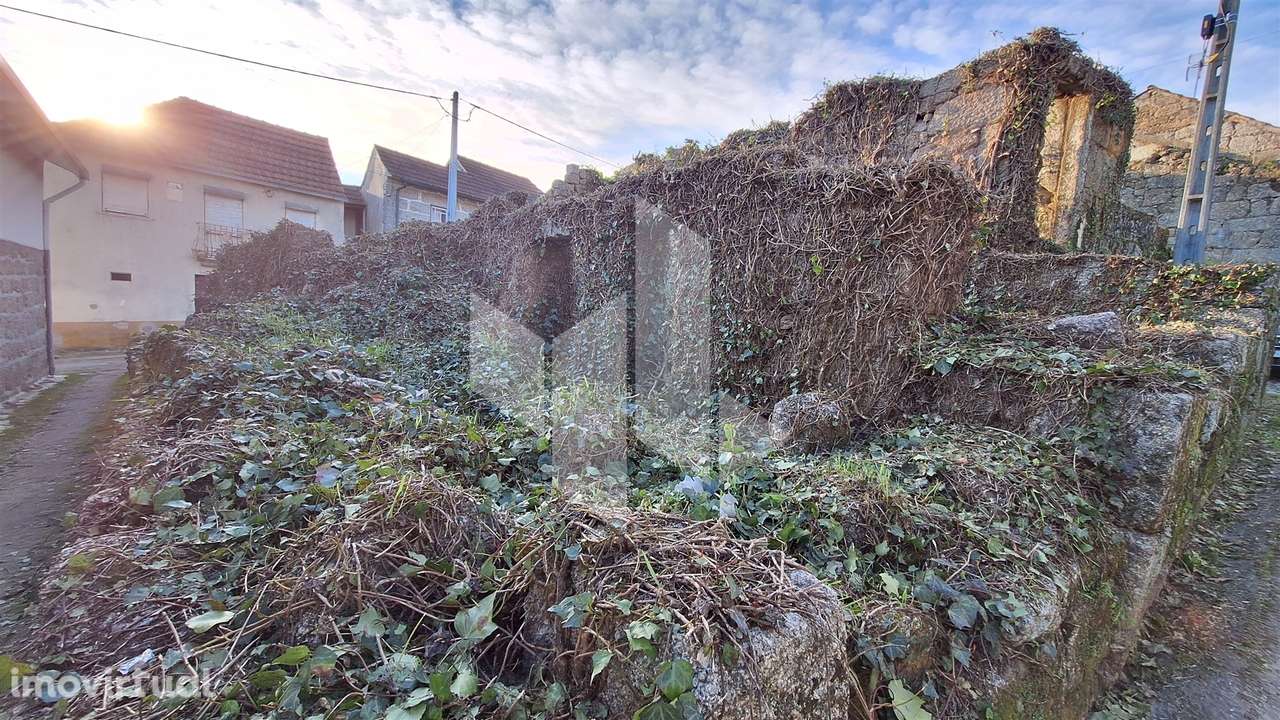 Moradia Devoluta T0 Venda em Mouraz e Vila Nova da Rainha,Tondela - Grande imagem: 4/8