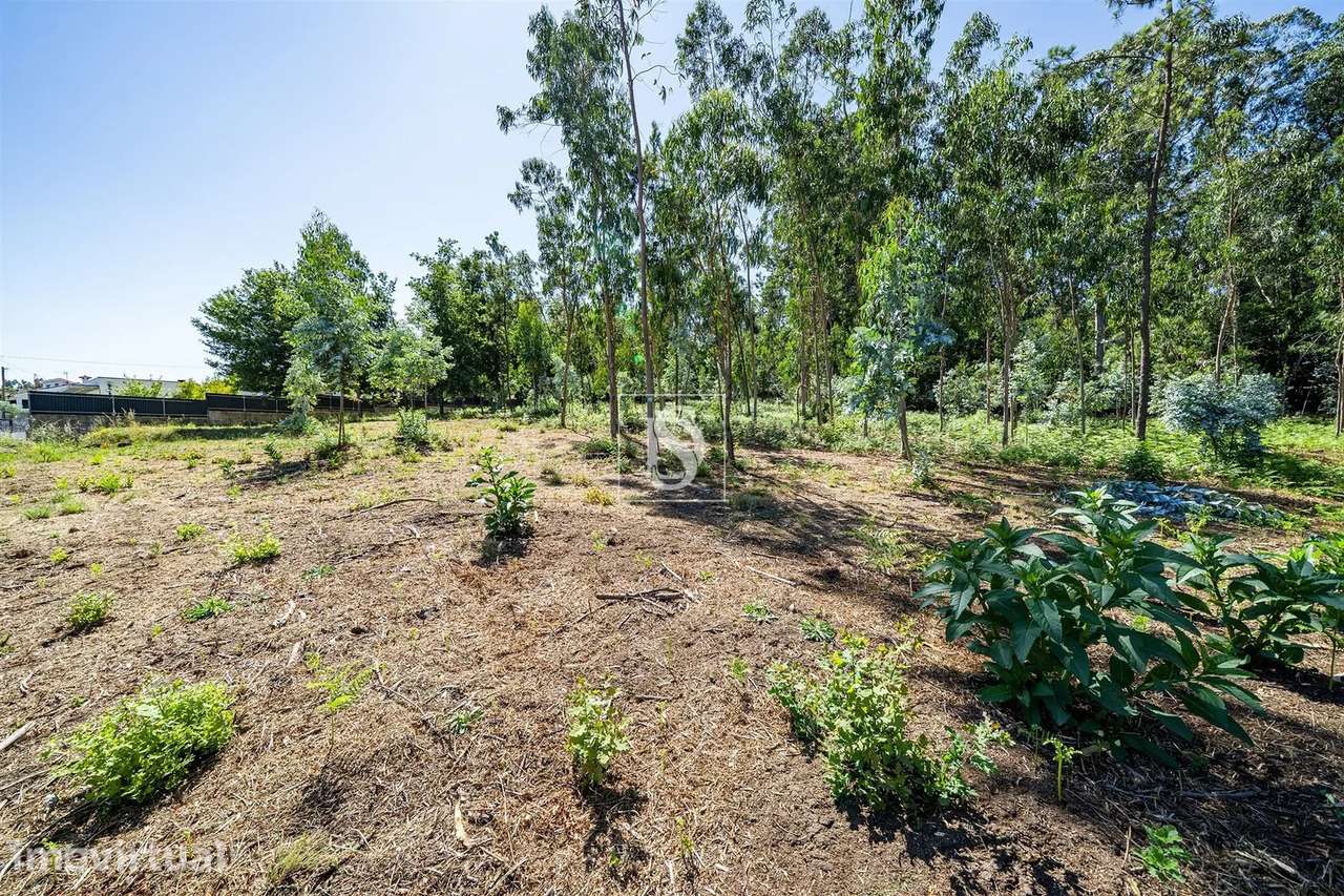 Terreno misto com potencial de construção em Barcelos - Grande imagem: 3/26