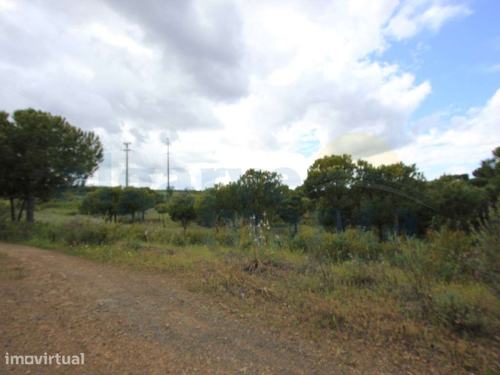Terreno Rústico com 6.4 hectares no Azinhal, Castro Marim! - Grande imagem: 5/12