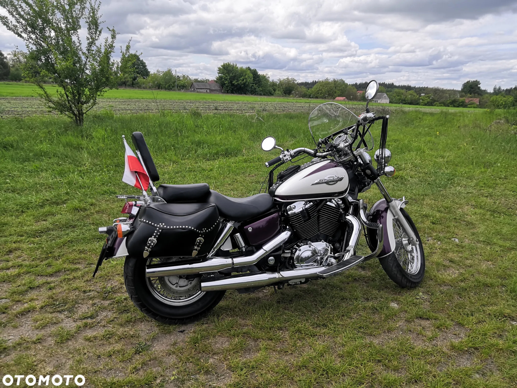 Honda Shadow - 6