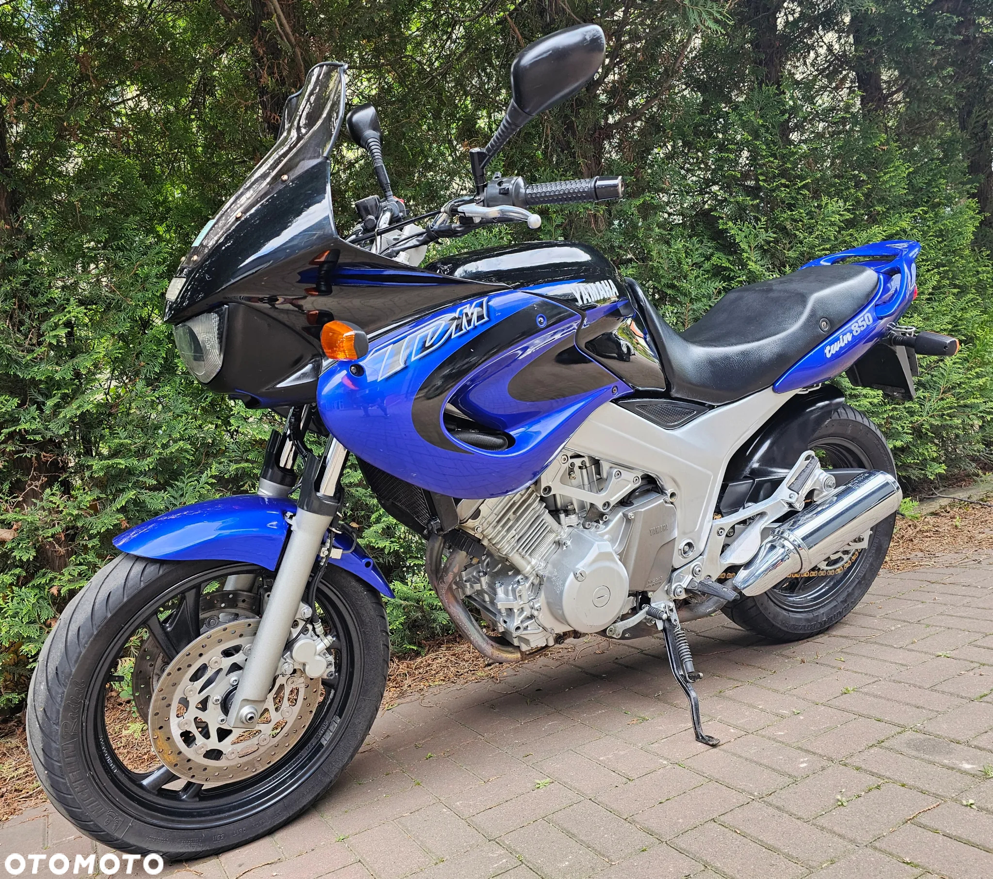 Yamaha TDM - 13
