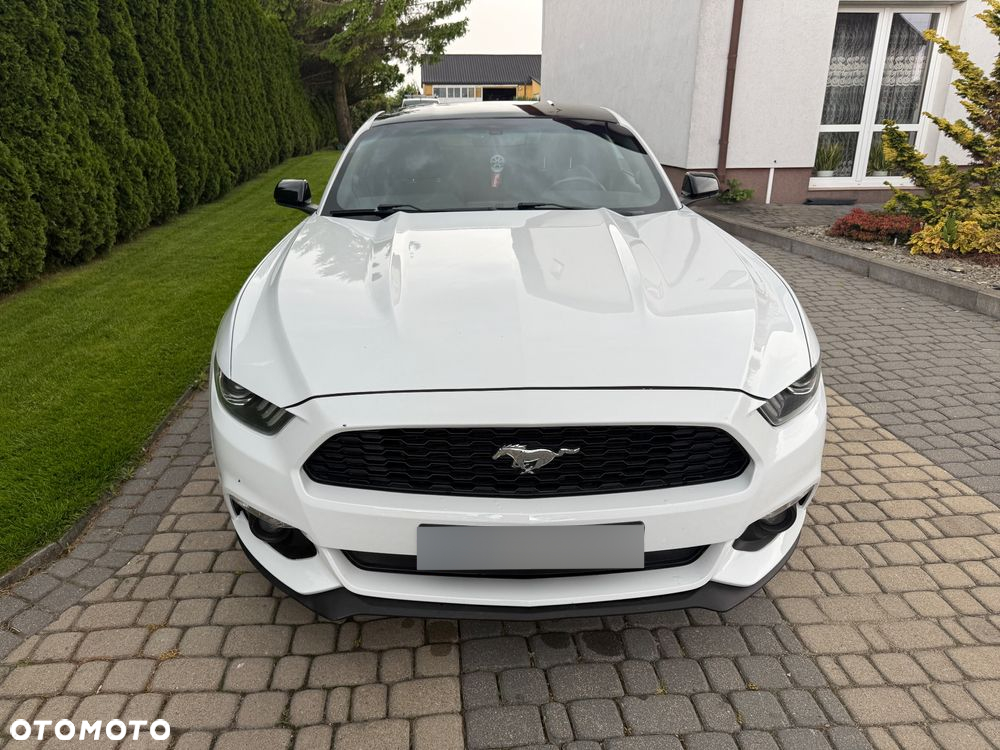 Ford Mustang - 6