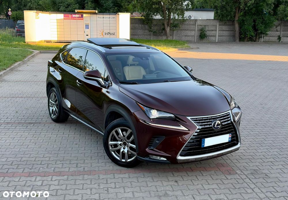 Lexus NX 300h Elite AWD - 9