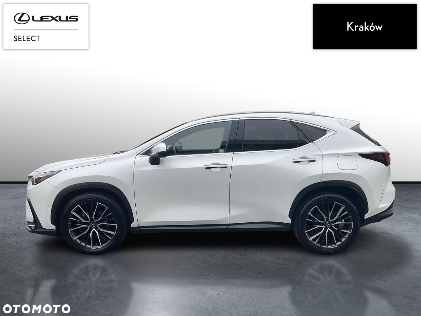 Lexus NX - 2