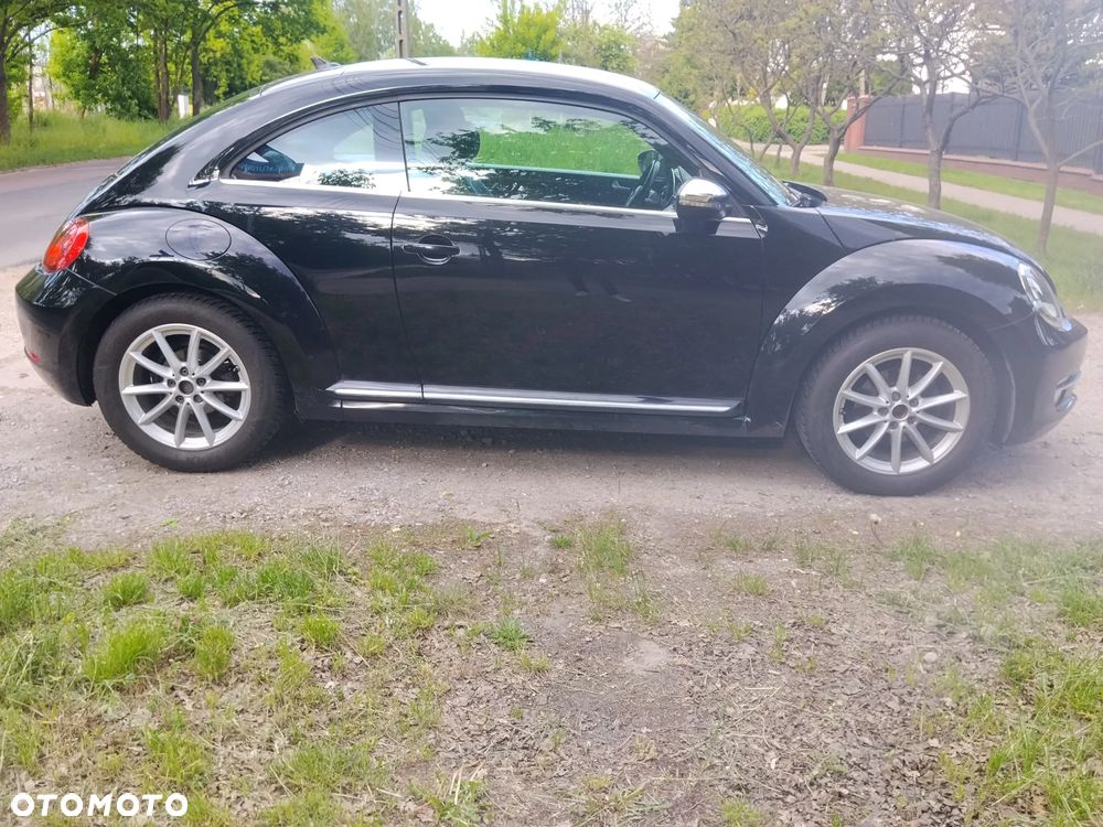 Volkswagen Beetle - 2