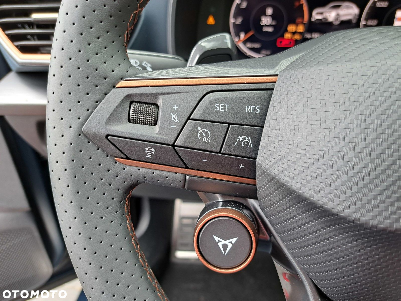 Cupra Formentor 2.0 TSI 4Drive VZ DSG - 26