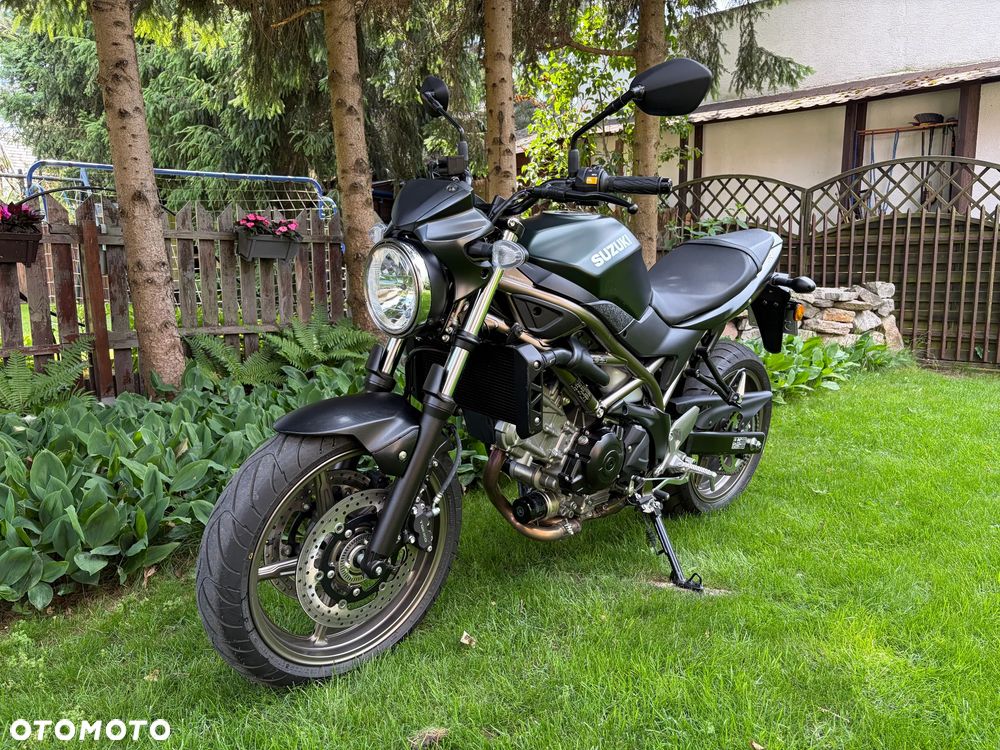 Suzuki SV - 2