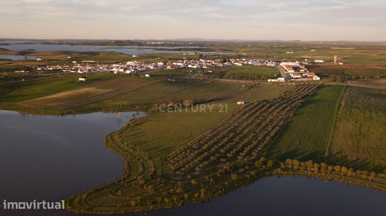 Terreno Rústico com Vista Privilegiada para o Alqueva - Luz, Alentejo - Grande imagem: 4/10
