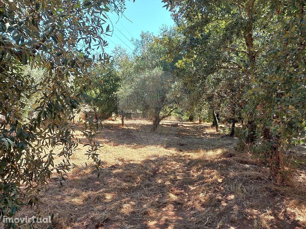 Terreno  para venda - Grande imagem: 5/7