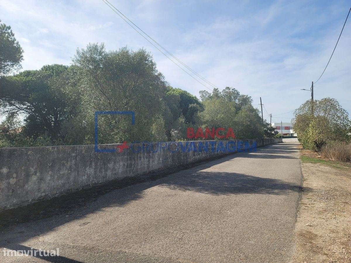 TERRENO RUSTICO 24040 m2  - TERRUGEM - Grande imagem: 4/30