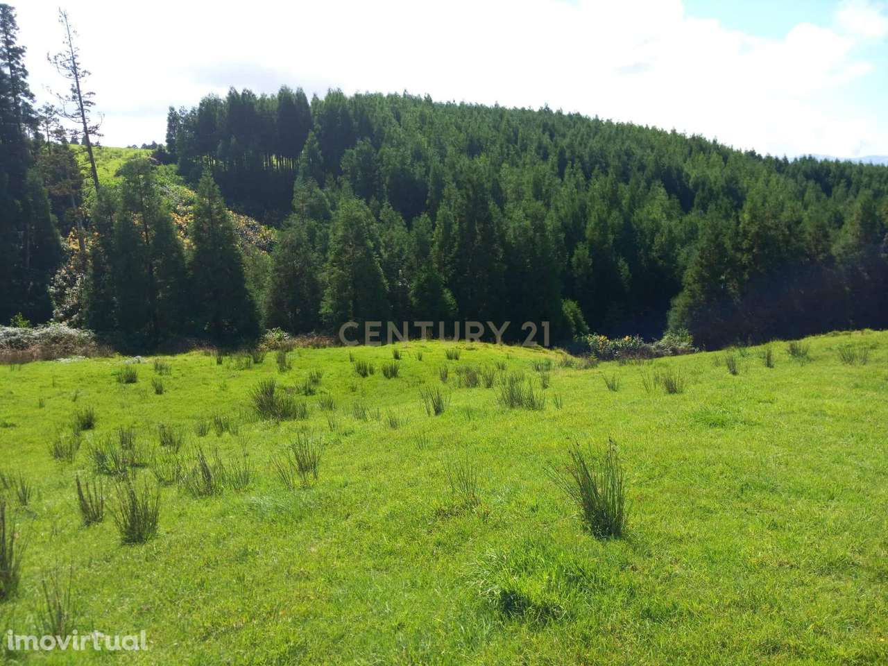 Terreno Rustico. - Grande imagem: 2/4