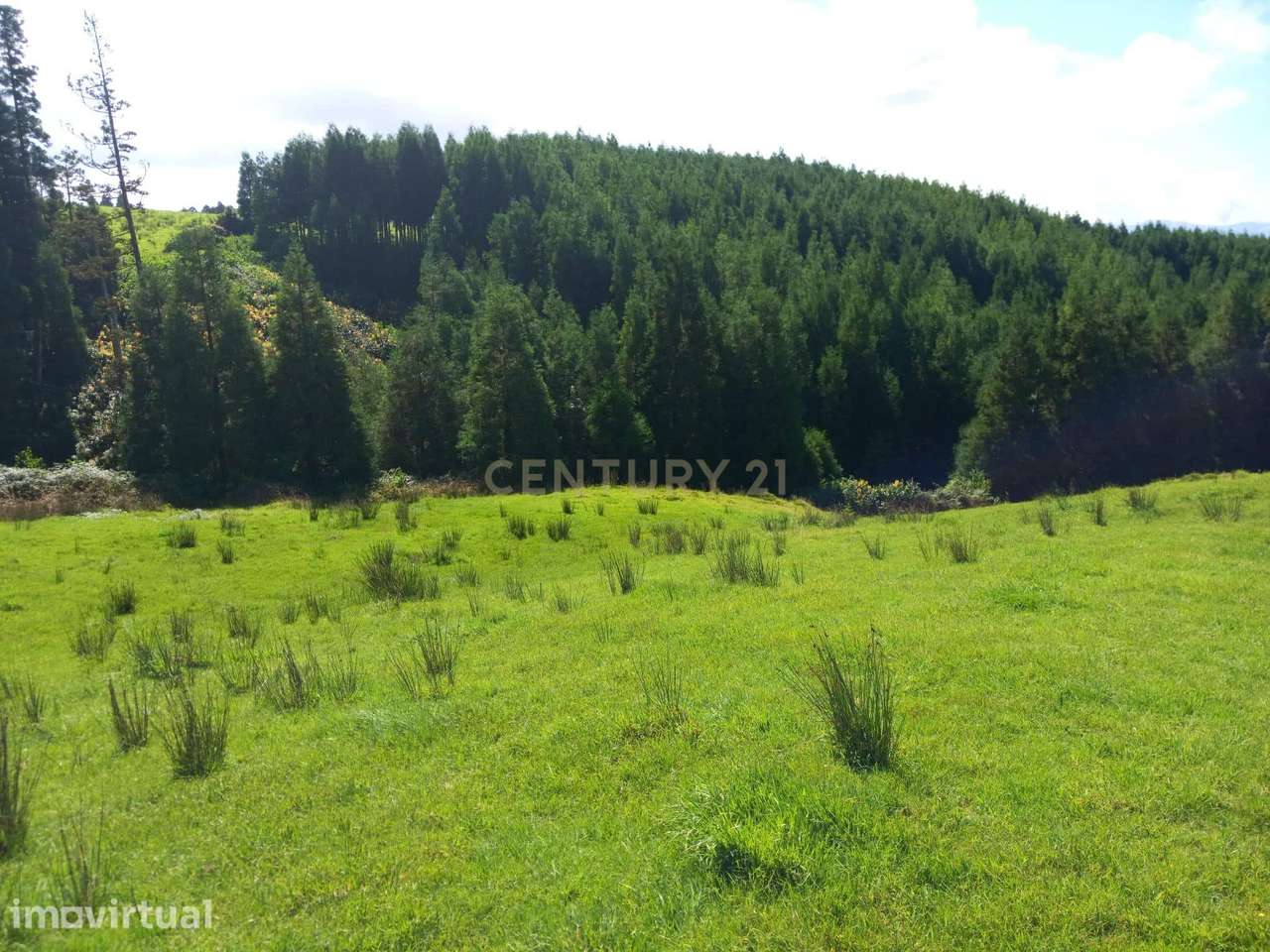 Terreno Rustico. - Grande imagem: 2/4