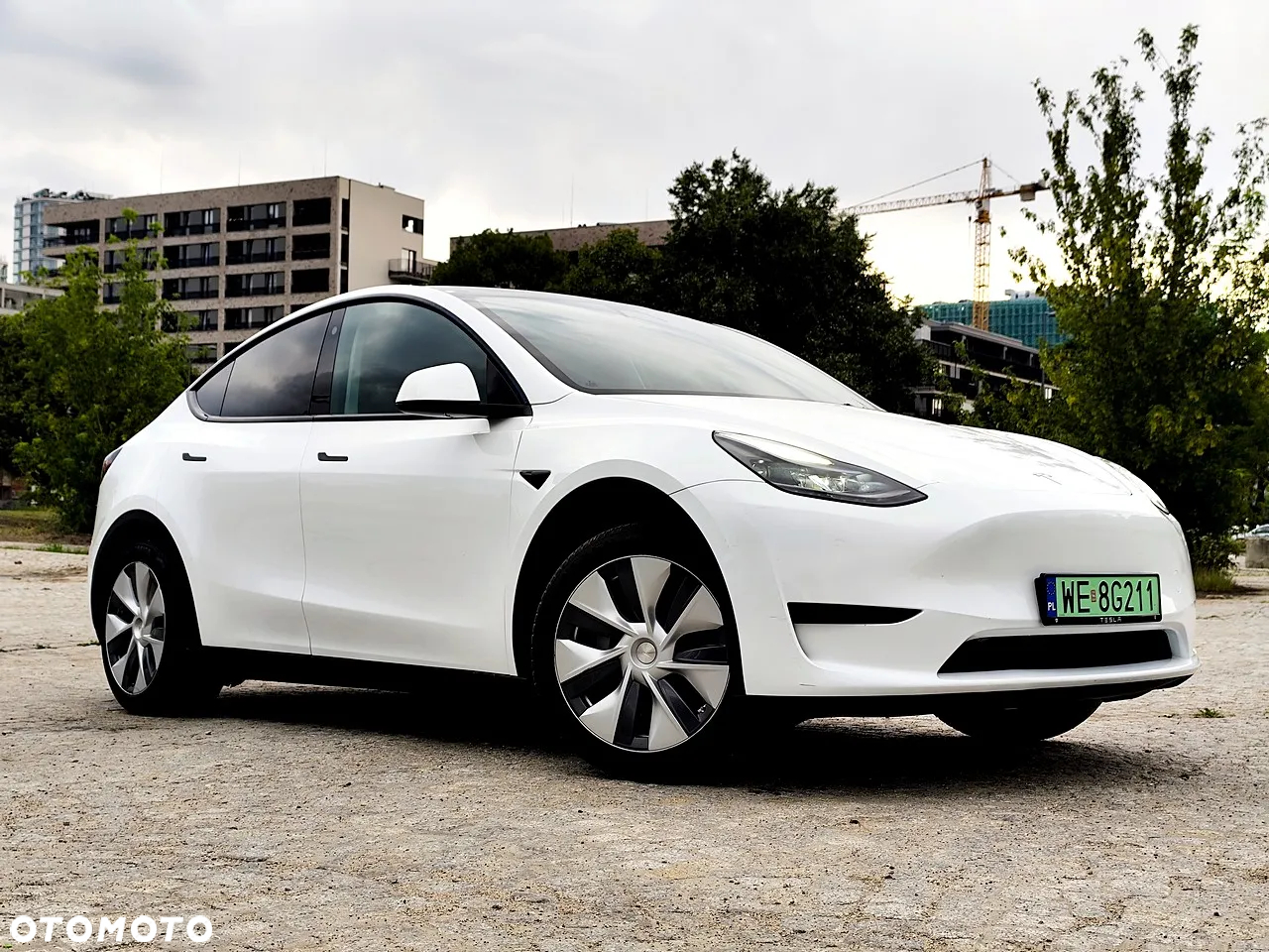 Tesla Y Long Range RWD - 6