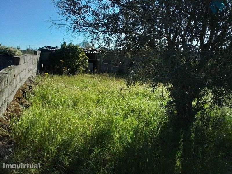 2 moradias germinadas em Monte do Bispo/Caria/Belmonte - Grande imagem: 4/12