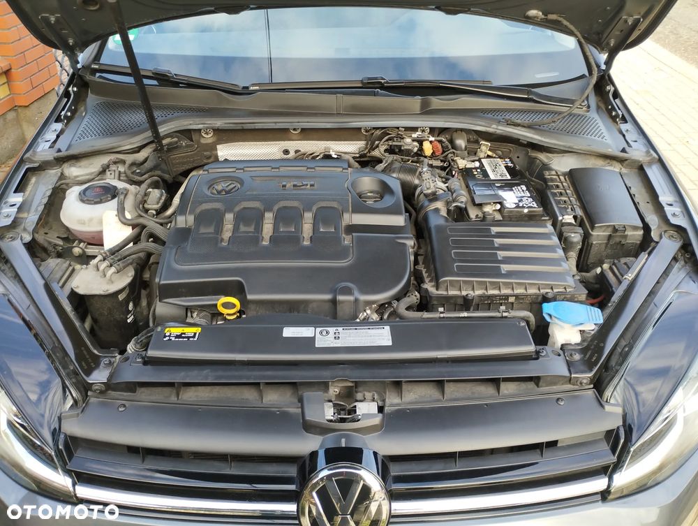 Volkswagen Golf VII 1.6 TDI BMT IQ Drive - 14