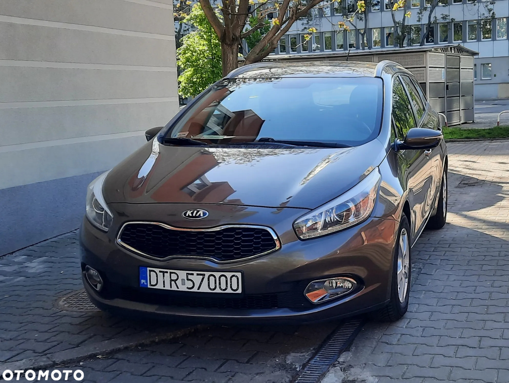 Kia Ceed 1.6 GDI Dream Team Edition - 2