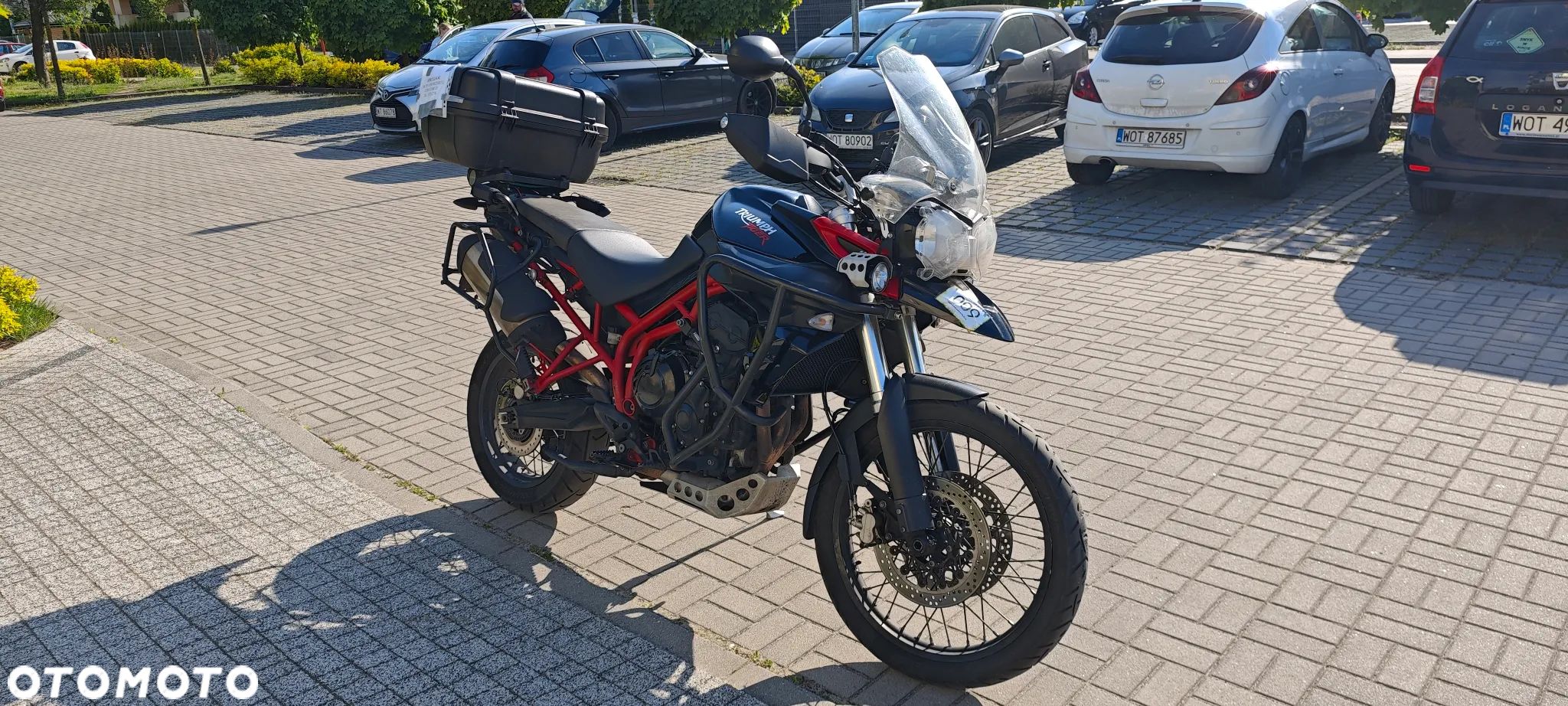 Triumph Tiger - 1