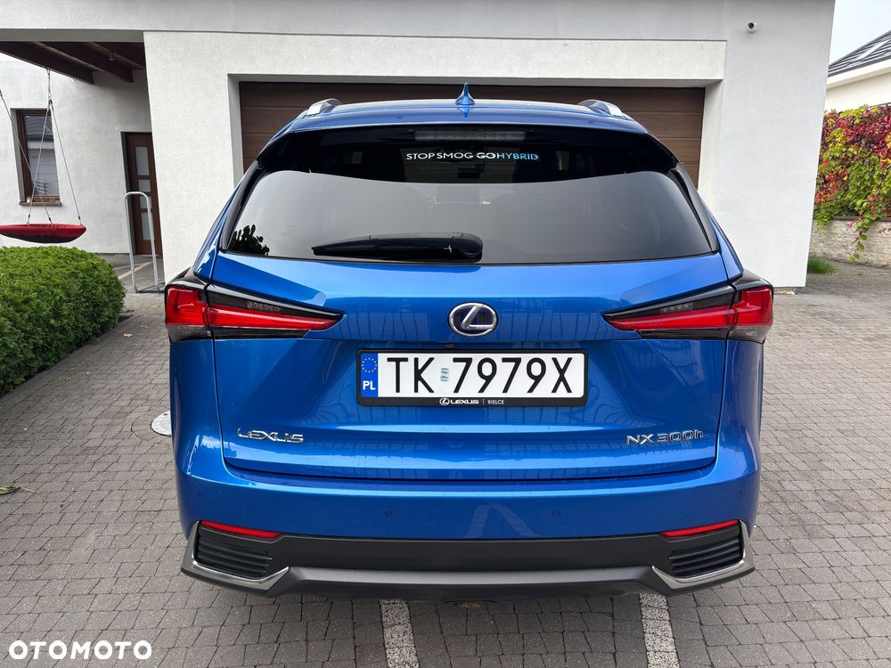 Lexus Nx 2017 photo 4