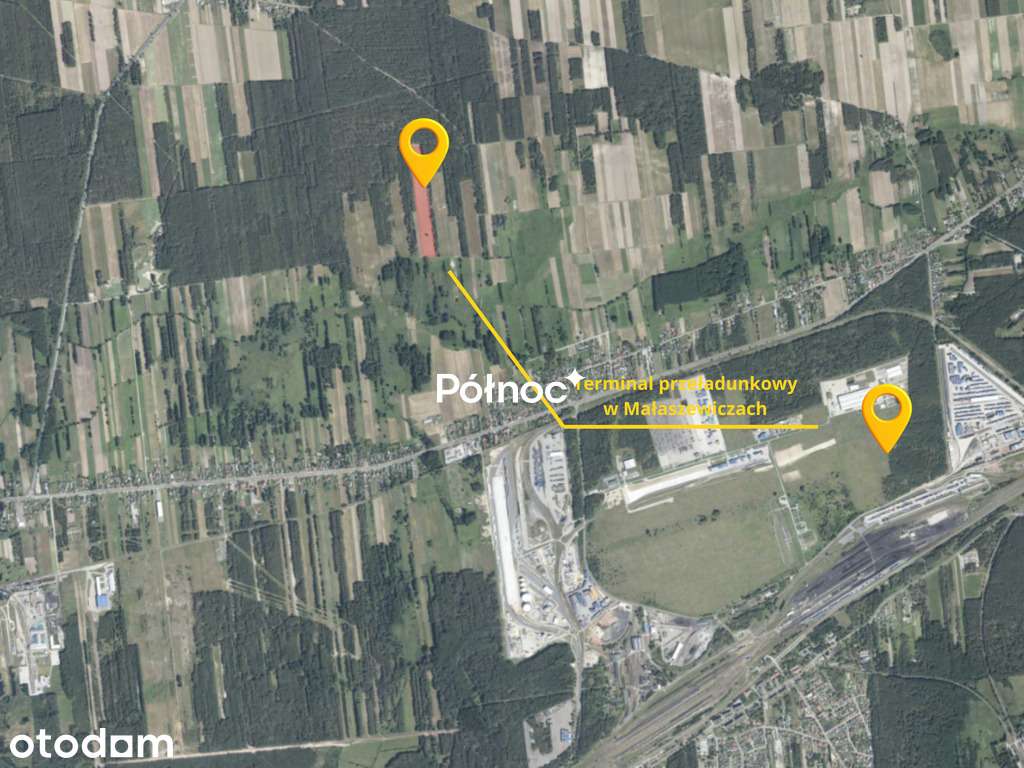 Działka rolna ponad 4,4 Ha w Małaczewiczach Dużych - Pełny obrazek: 4/5