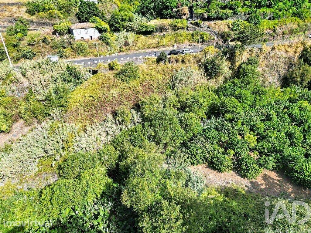 Terreno Agrícola em Tabua - Grande imagem: 3/15