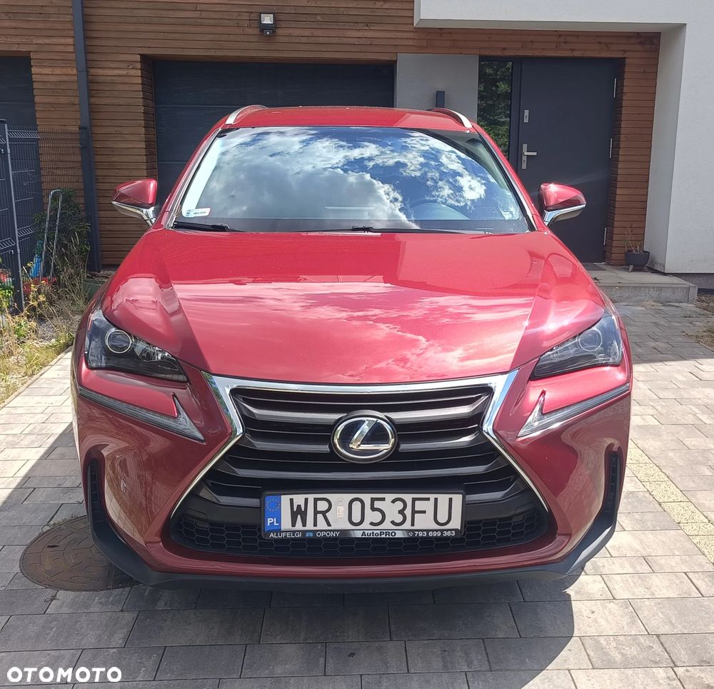 Lexus NX 300h Elegance AWD - 1
