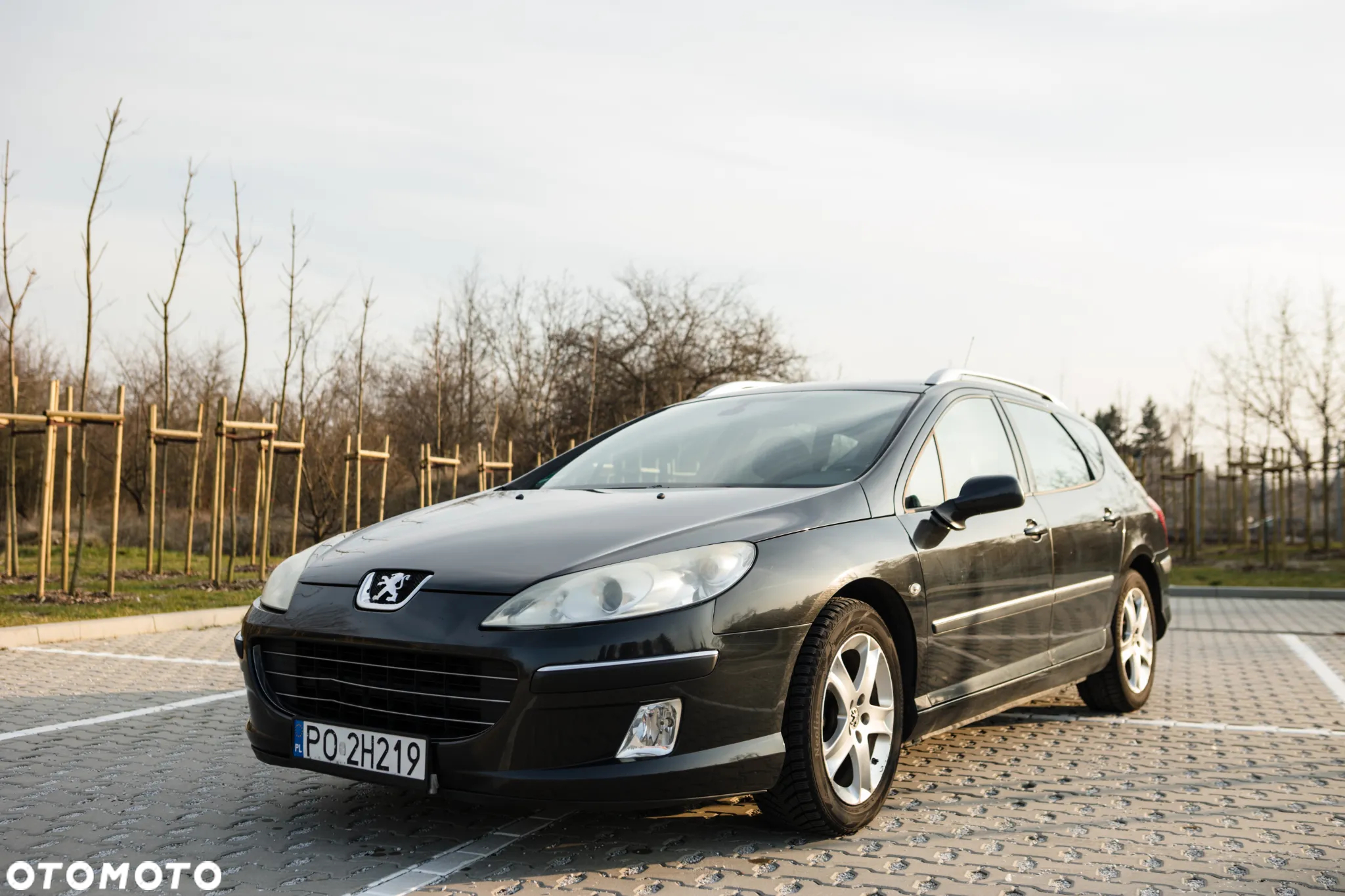 Peugeot 407 SW 140 - 13