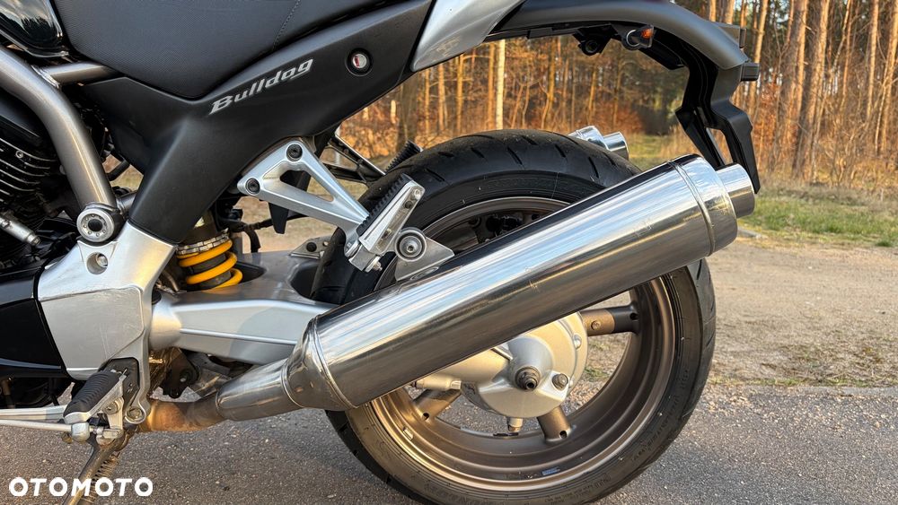Yamaha Bulldog - 26