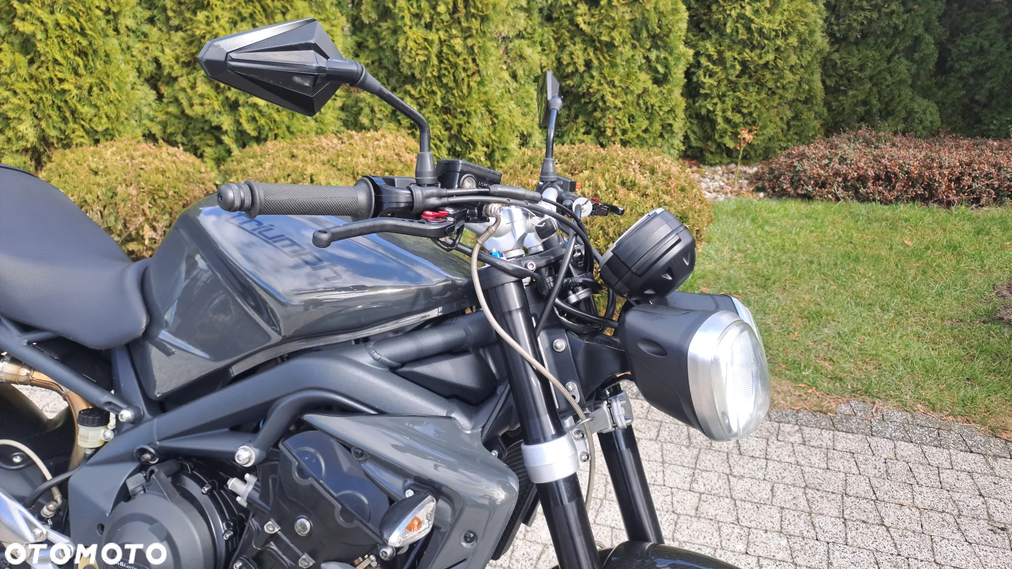 Triumph Speed Triple - 35