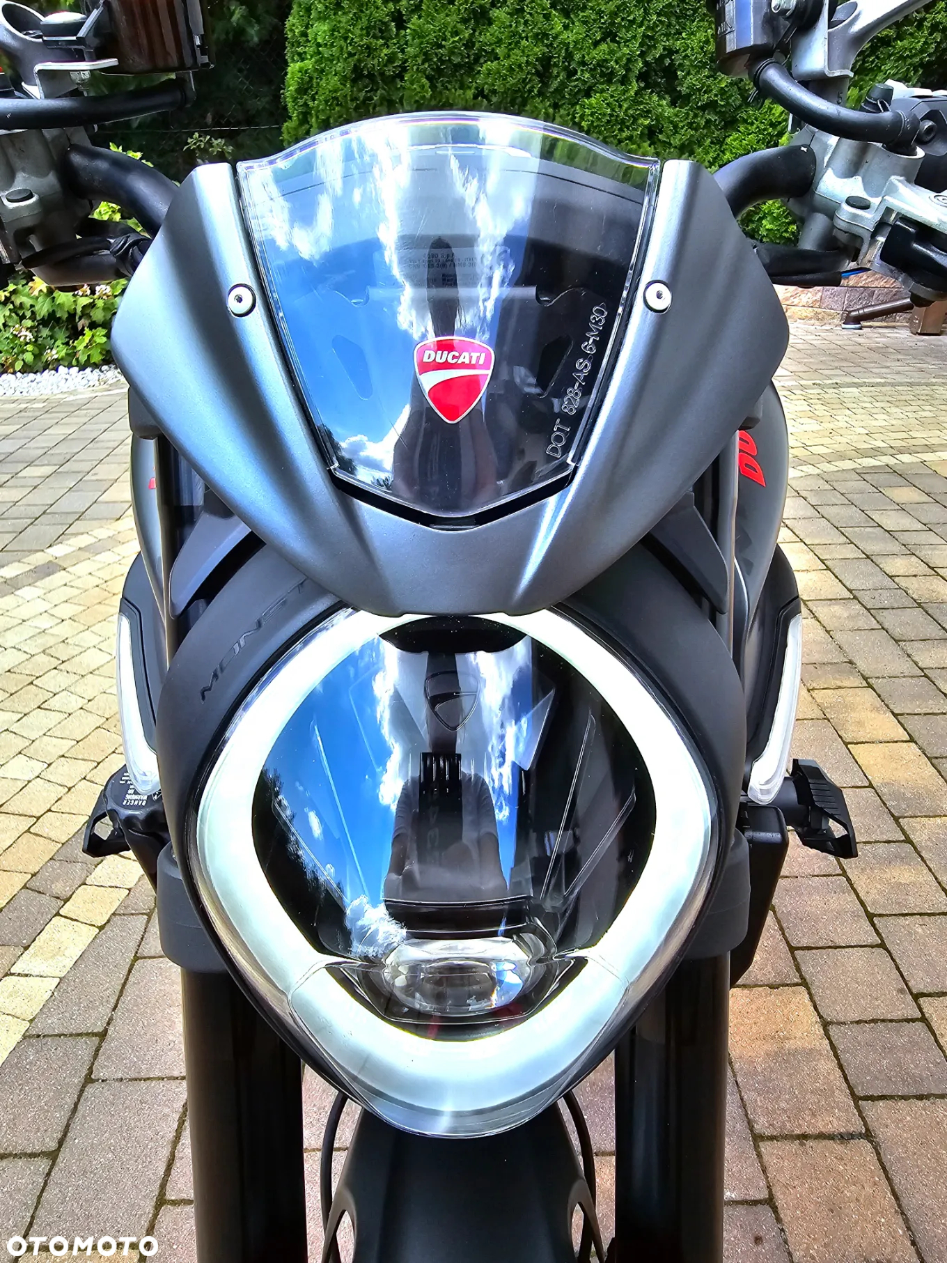 Ducati Monster - 6