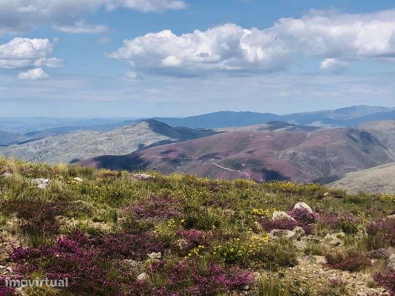 Andar moradia na Serra da Arada, animais de estimacao benvindos ! - Grande imagem: 5/5