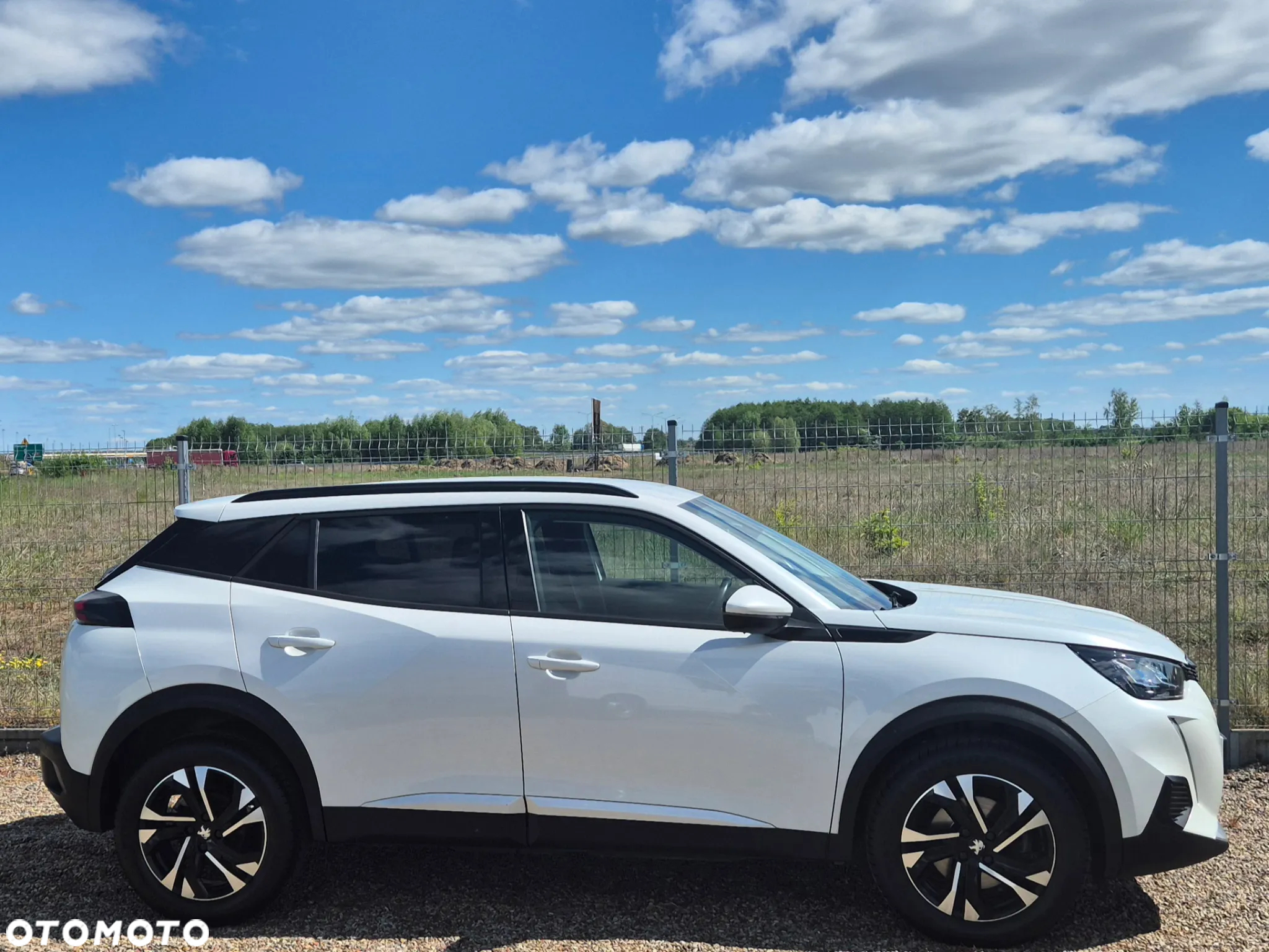Peugeot 2008 BlueHDi 130 Allure S&S EAT8 - 10