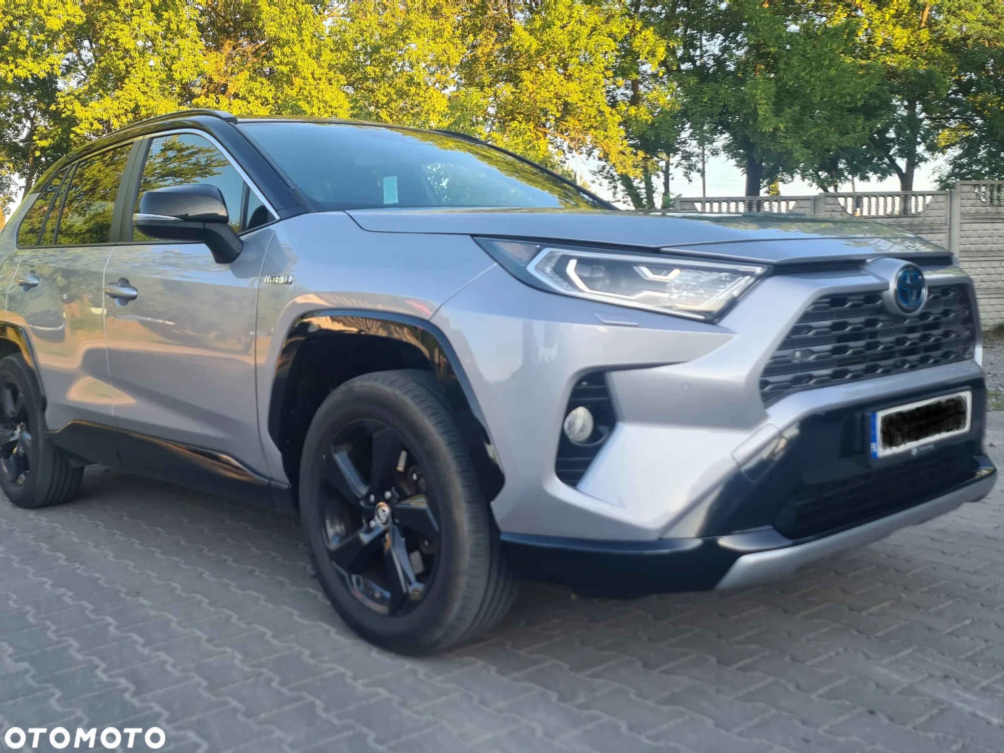 Toyota RAV4 2.5 Hybrid Selection 4x2 - 2