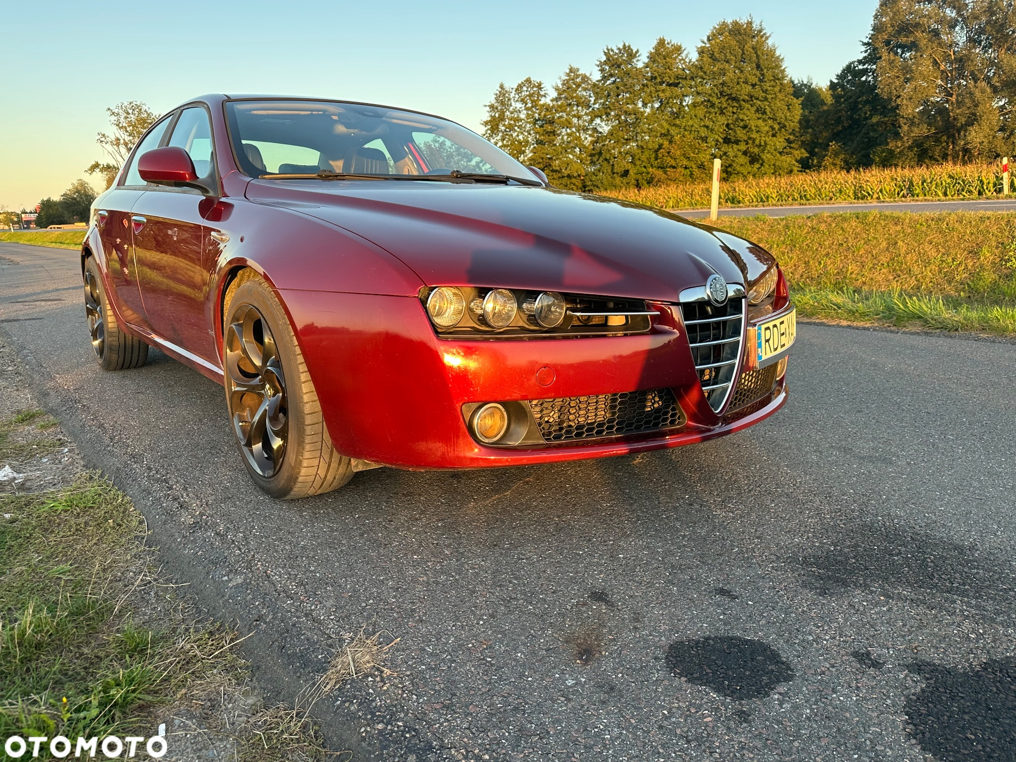 Alfa Romeo 159 1.9JTDM Distinctive - 19