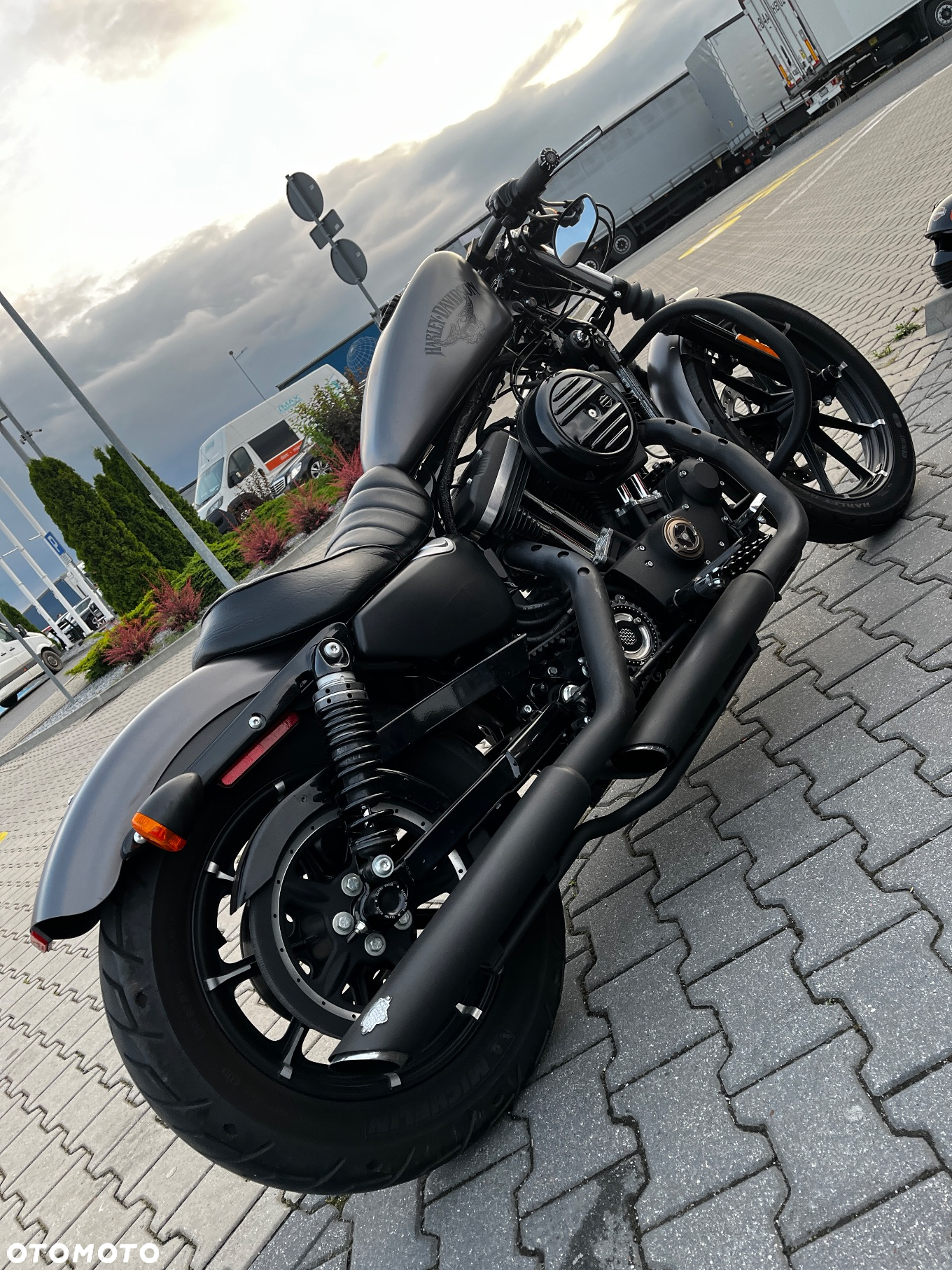 Harley-Davidson Sportster Iron 883 - 7