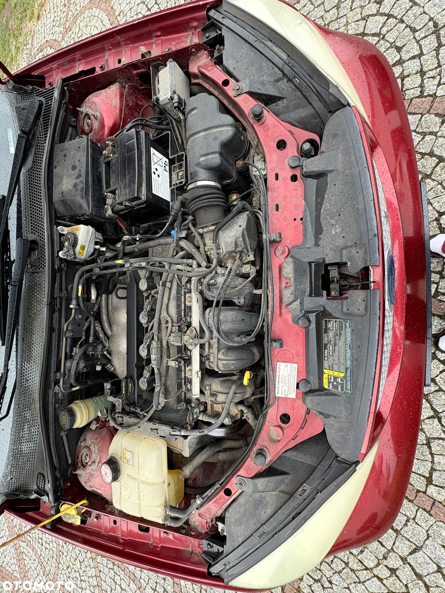 Ford Focus ST170 - 18
