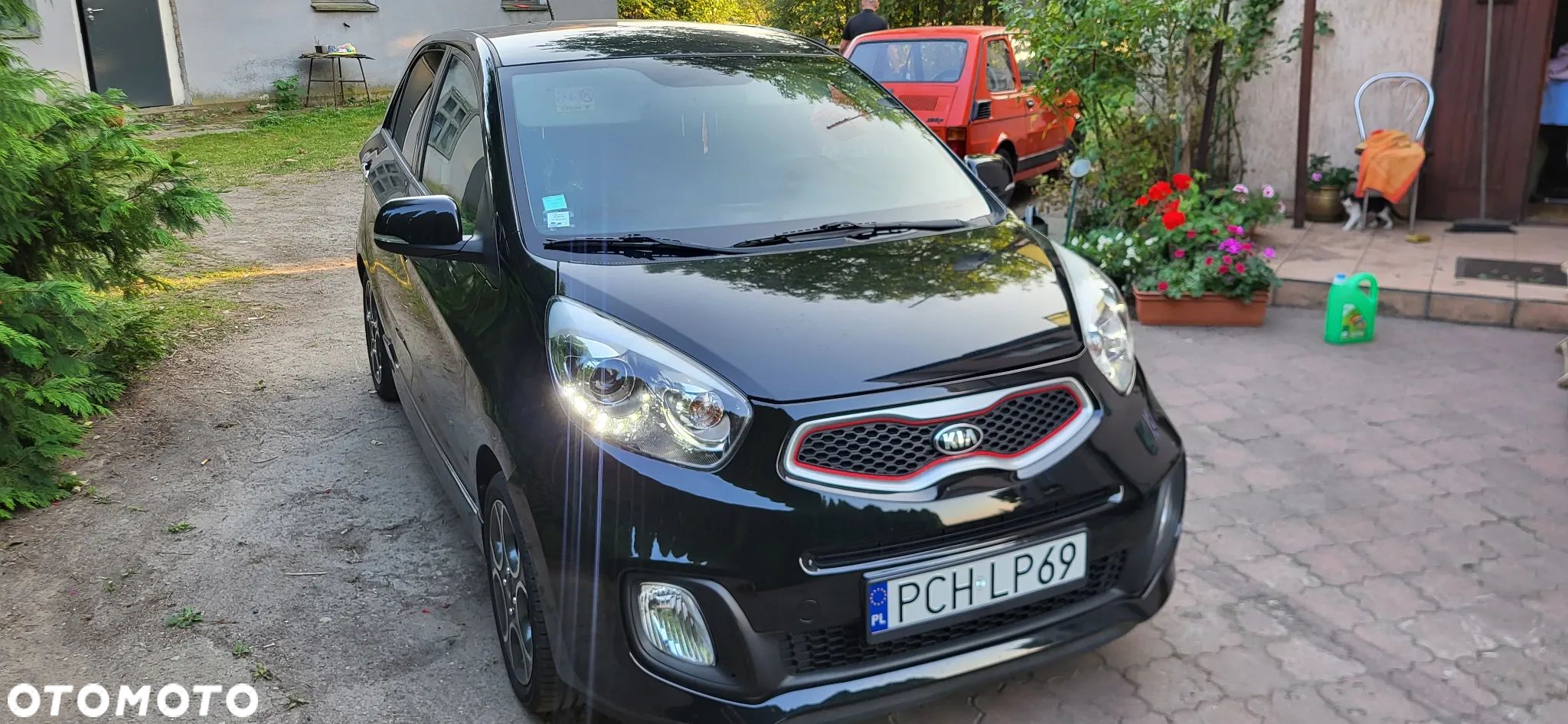 Kia Picanto 1.0 Dream Team Edition - 1