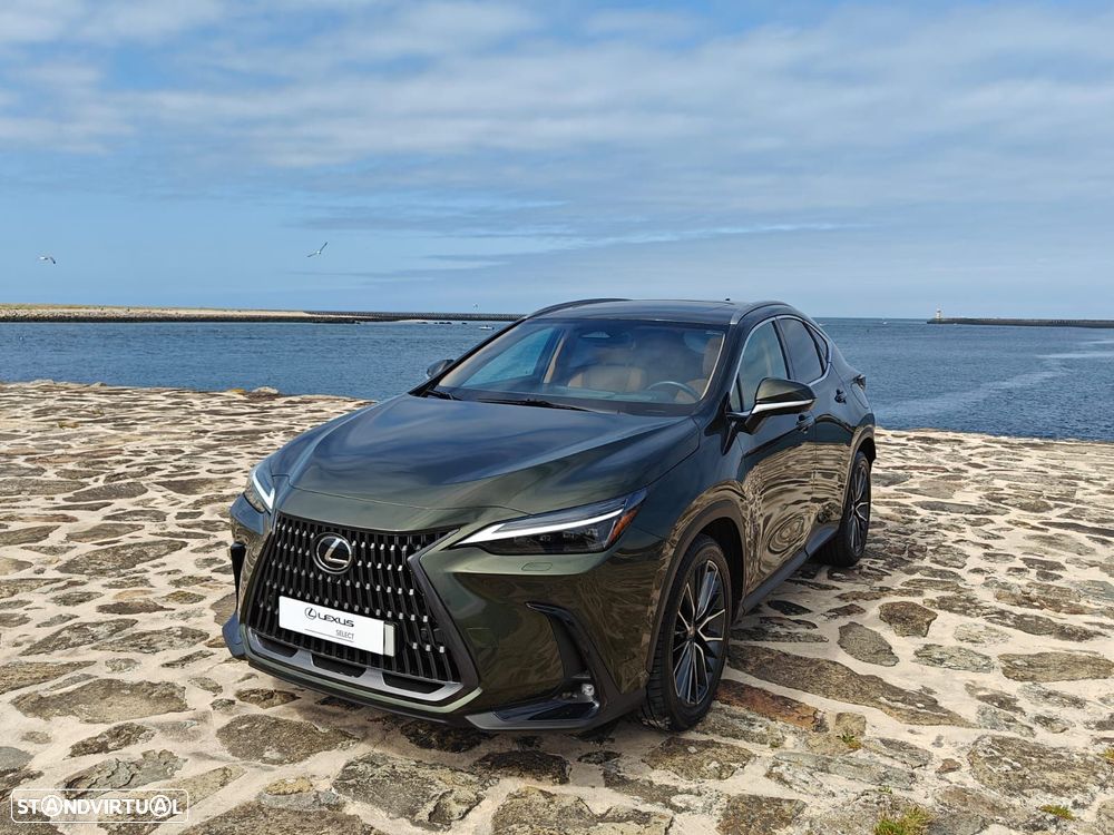 Lexus NX 450h+ Luxury - 9
