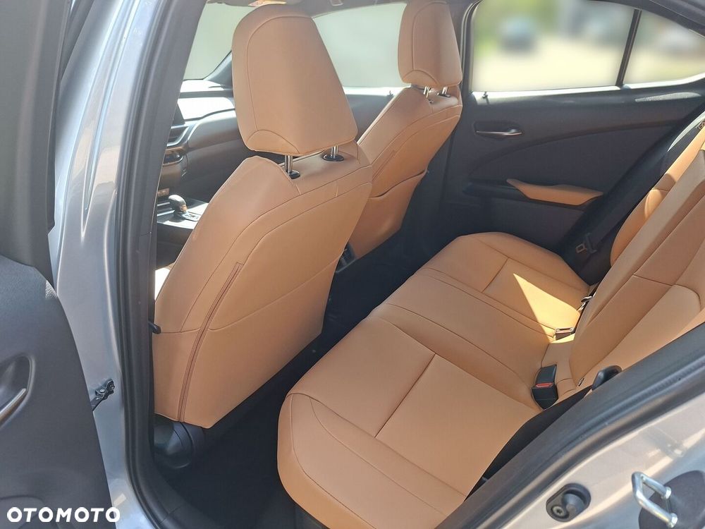 Lexus UX 300h F Sport Design - 13