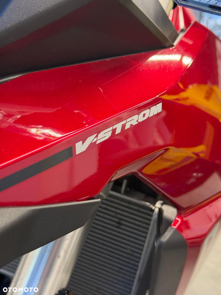 Suzuki V-STROM - 8