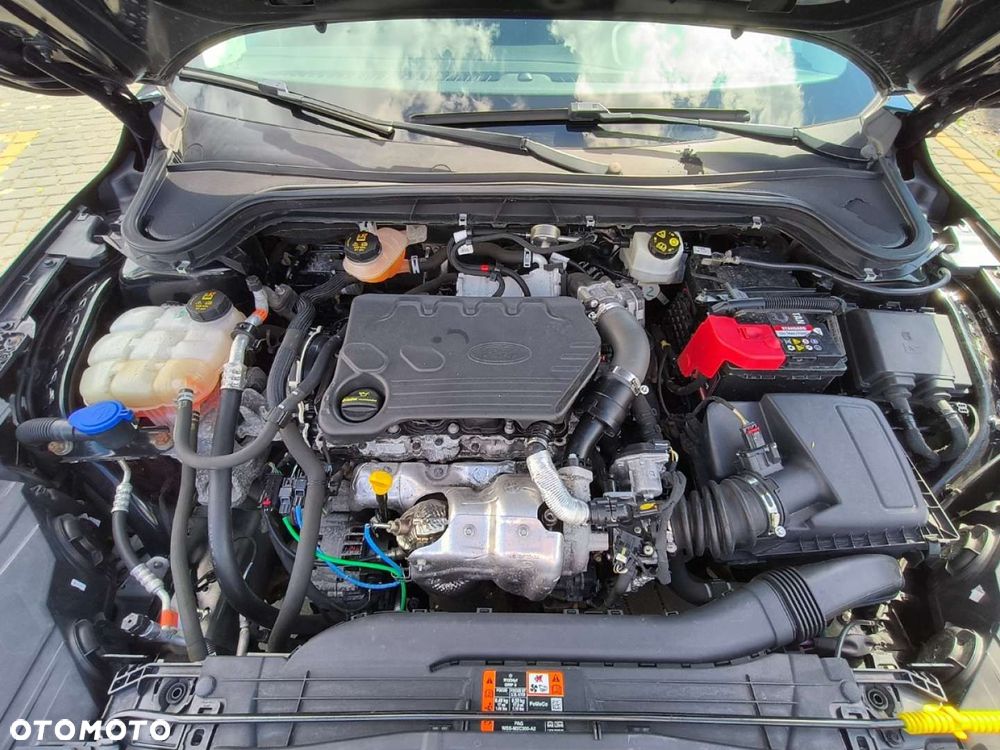 Ford Focus - 20