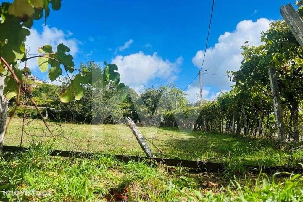 Terreno 2600 em Gestaçô com 3800m2, situado em Baião - Grande imagem: 5/20
