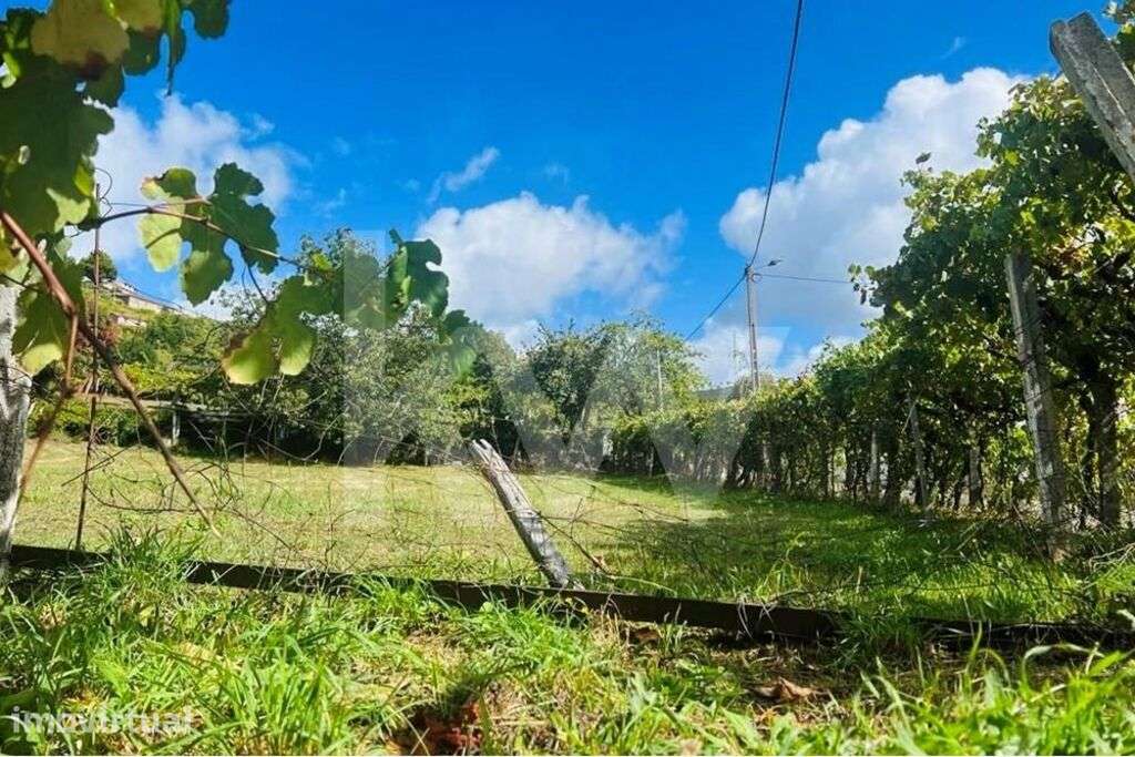 Terreno 2600 em Gestaçô com 3800m2, situado em Baião - Grande imagem: 5/20