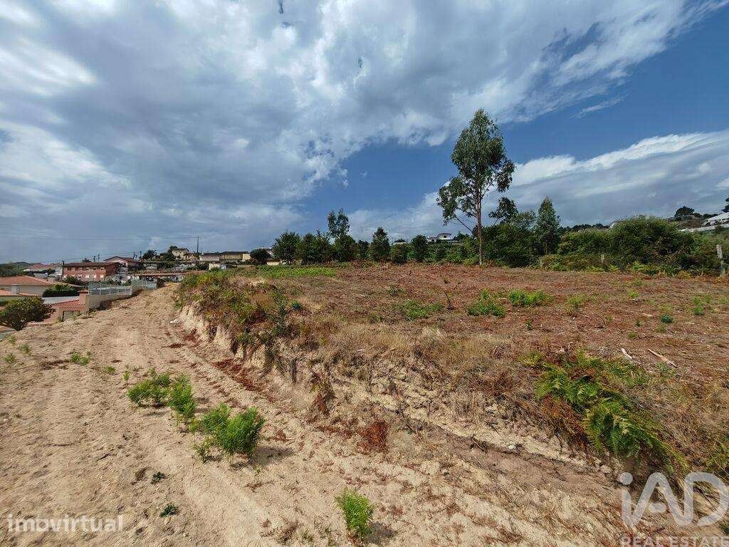 Terreno para construção em Vila de Cucujães - Grande imagem: 2/9