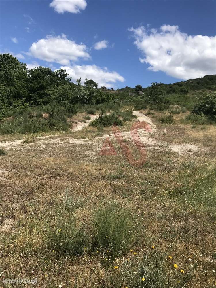 Quinta com Capela com 39.018,00m2​​​​​&# - Grande imagem: 5/8