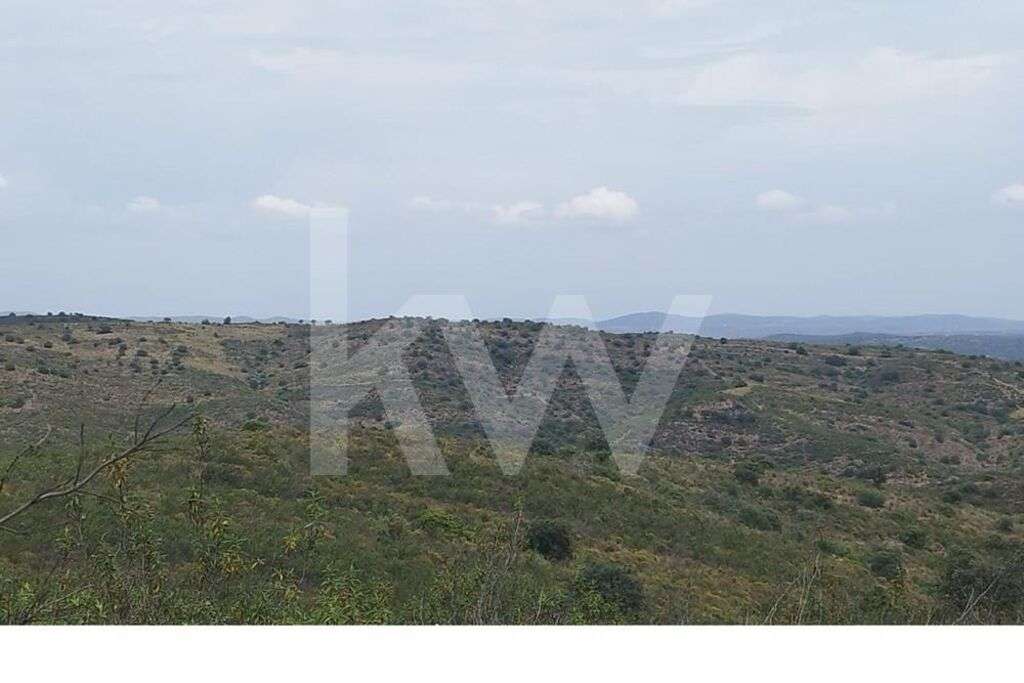 Terreno para venda em Laranjeiras, Alcoutim - Faro - Grande imagem: 2/8
